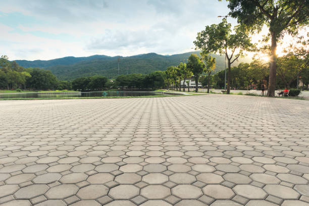 Best Driveway Pavers Near Me  in Cassville, WV